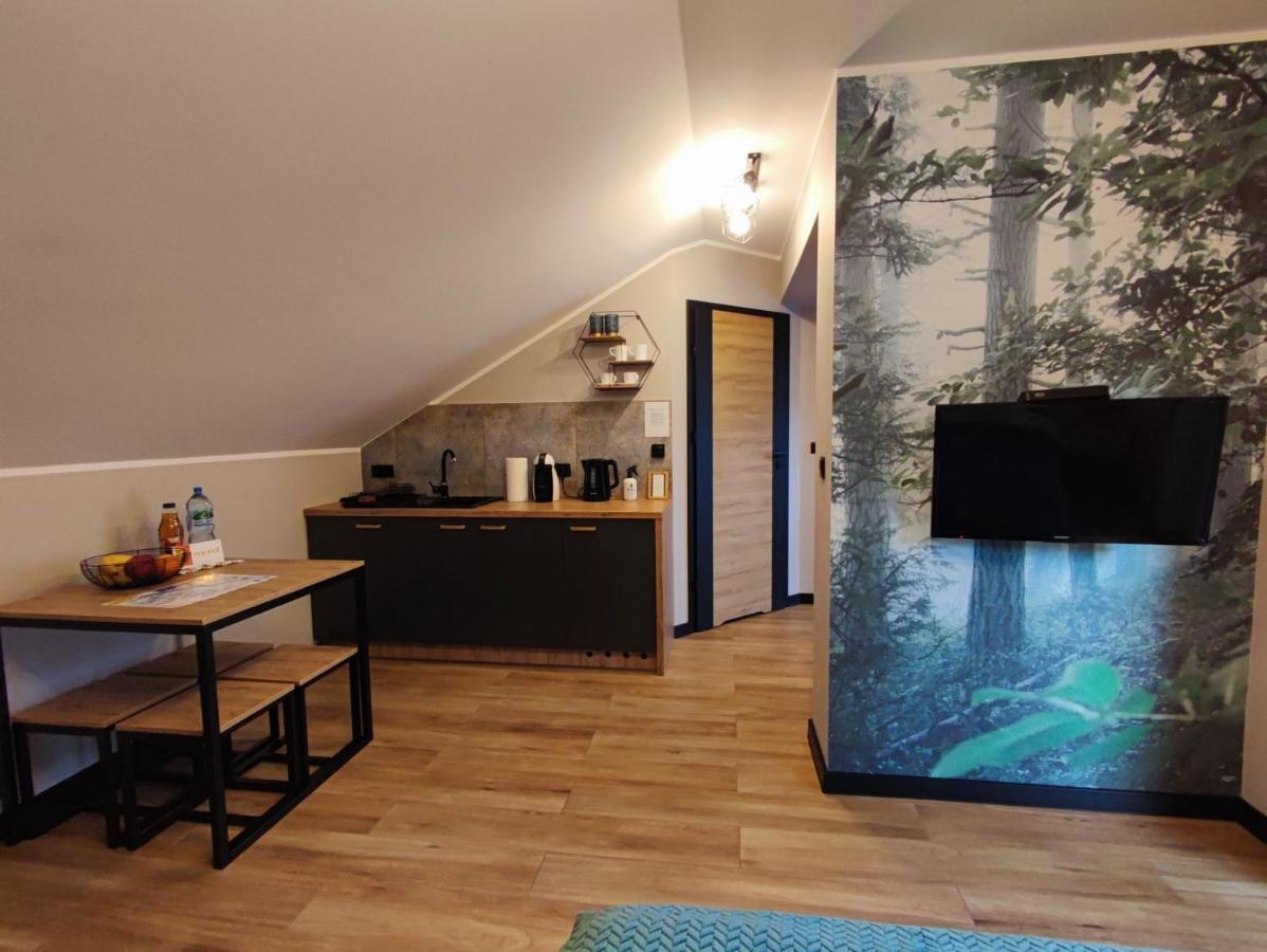 Apartament Olimpijska 54 Z Prywatnym Jacuzzi Na Tarasie Szczyrk Kültér fotó